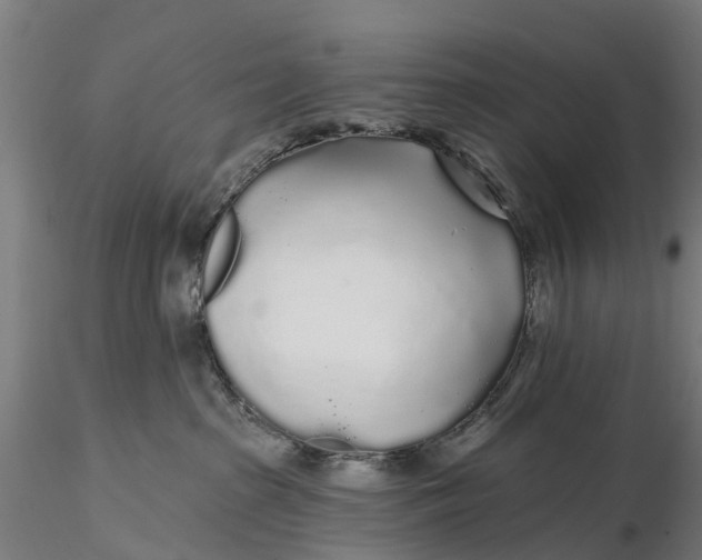 X0000115690285200912031450