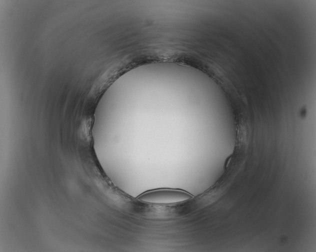 X0000115690286200912031450