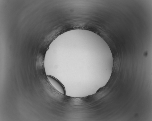 X0000115690287200912031450