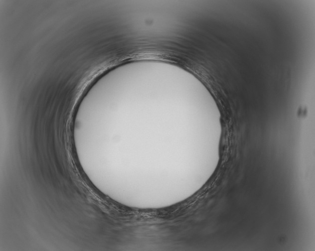 X0000115690289200912031449