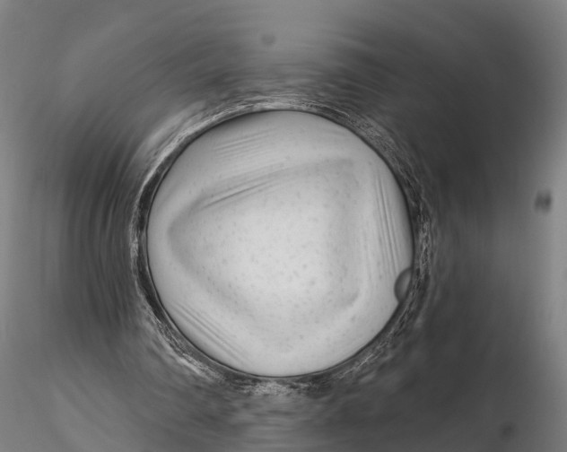 X0000115690290200912031449