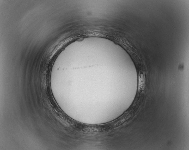 X0000115690291200912031449