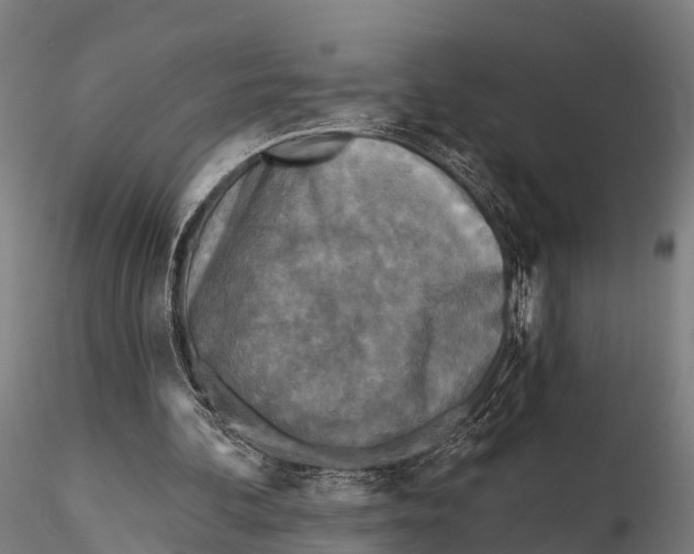 X0000115690292200912031449