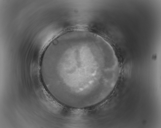 X0000115690293200912031449