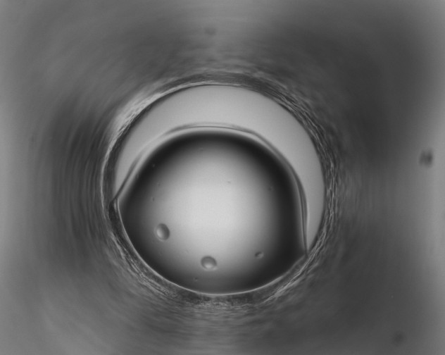 X0000115690294200912031449