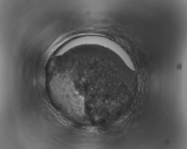 X0000115690295200912031449