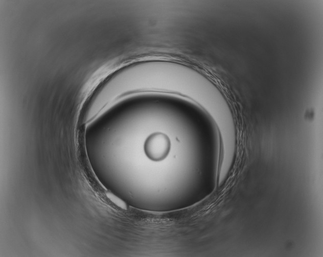 X0000115690296200912031449