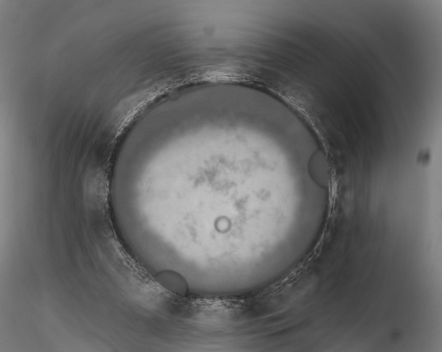 X0000115690297200912031449