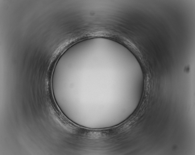 X0000115690298200912031449