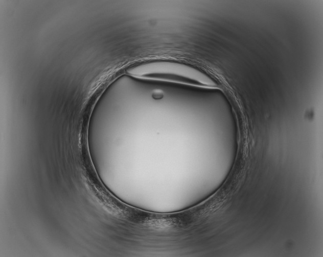 X0000115690299200912031449