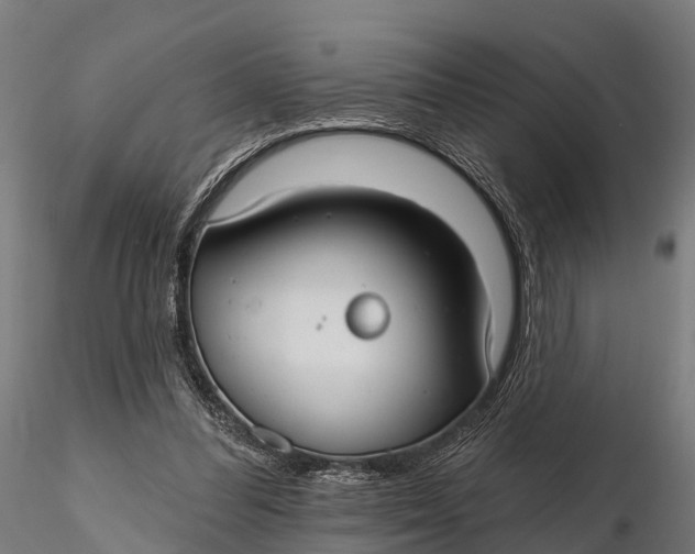 X0000115690300200912031449