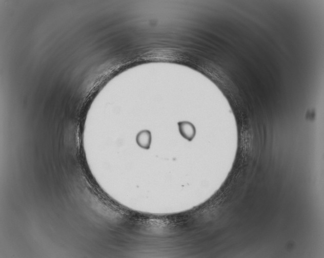 X0000115690302200912031449