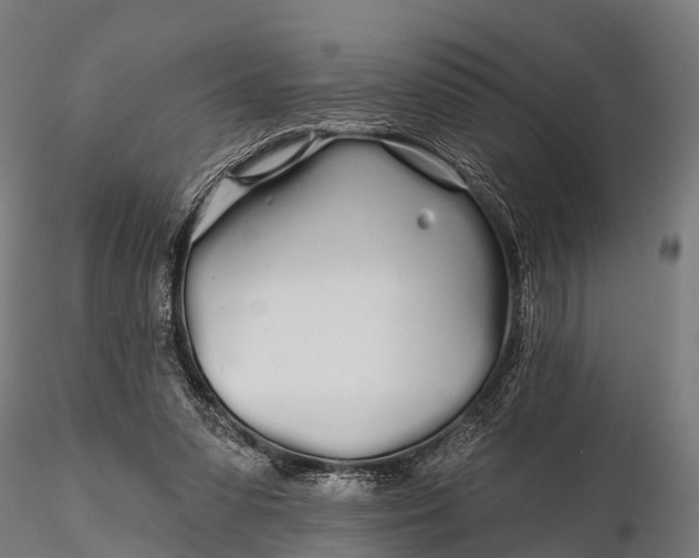 X0000115690303200912031449