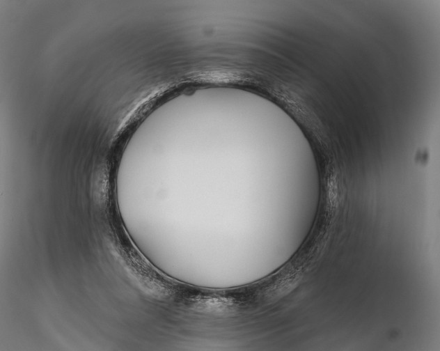 X0000115690304200912031449