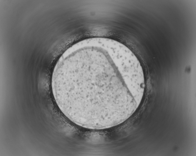 X0000115690305200912031449