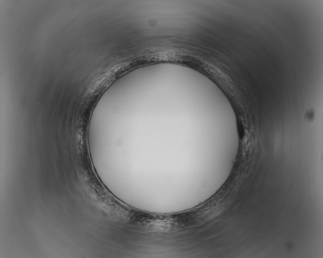 X0000115690306200912031449