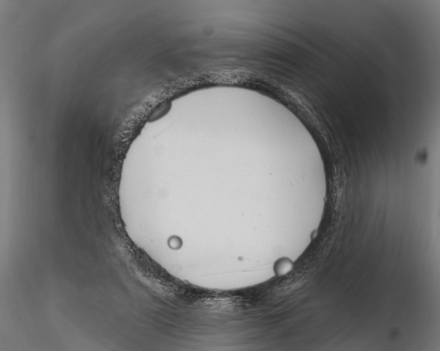 X0000115690307200912031449