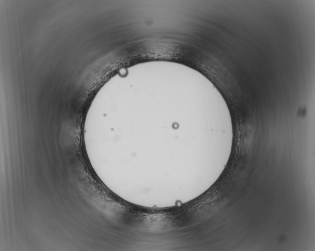 X0000115690309200912031449