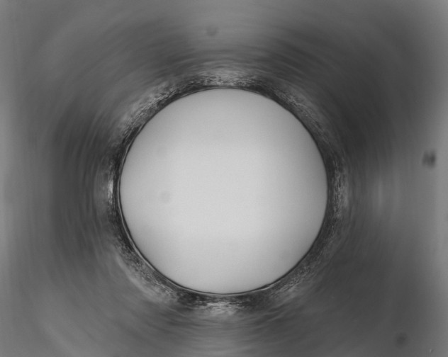 X0000115690310200912031449