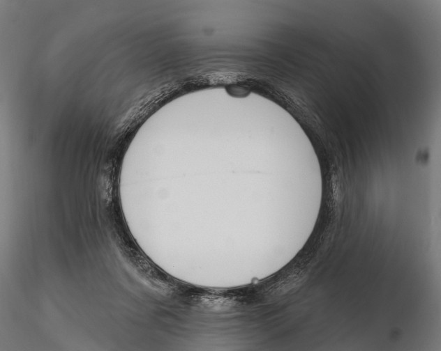 X0000115690311200912031449