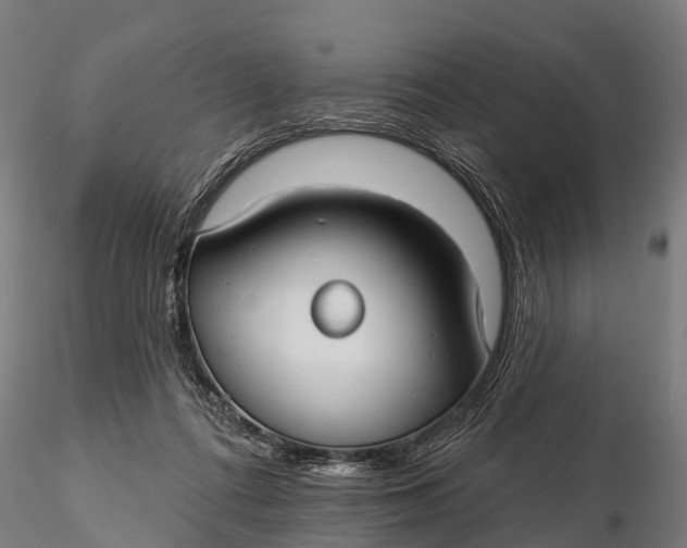 X0000115690312200912031448