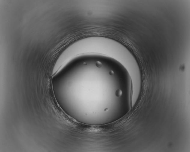 X0000115690313200912031448