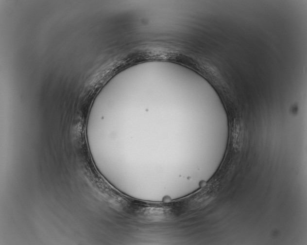 X0000115690314200912031448