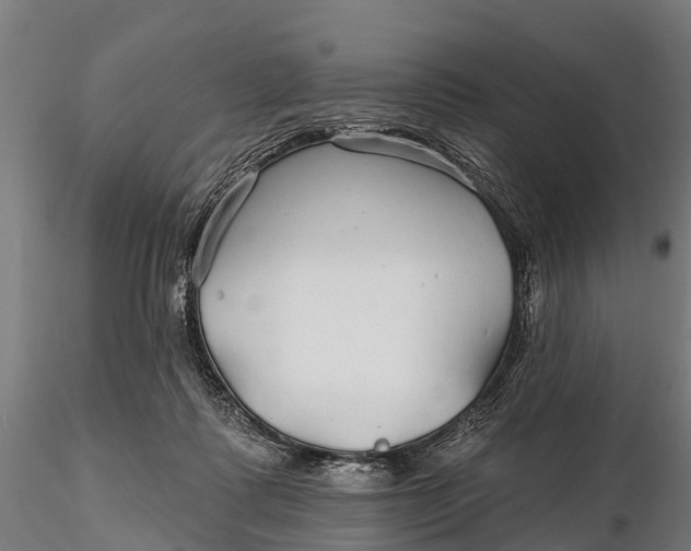 X0000115690315200912031448