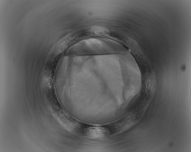 X0000115690316200912031448