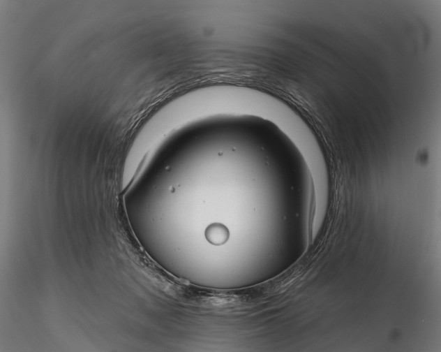 X0000115690317200912031448