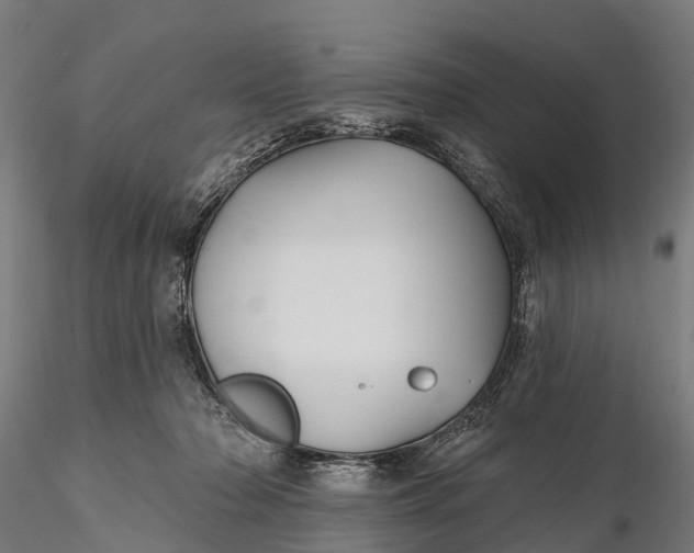 X0000115690318200912031448