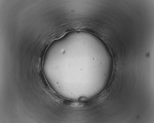 X0000115690319200912031448