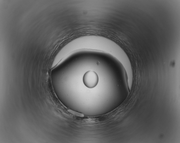 X0000115690320200912031448