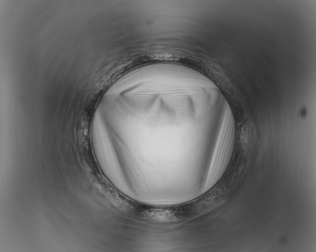 X0000115690322200912031448