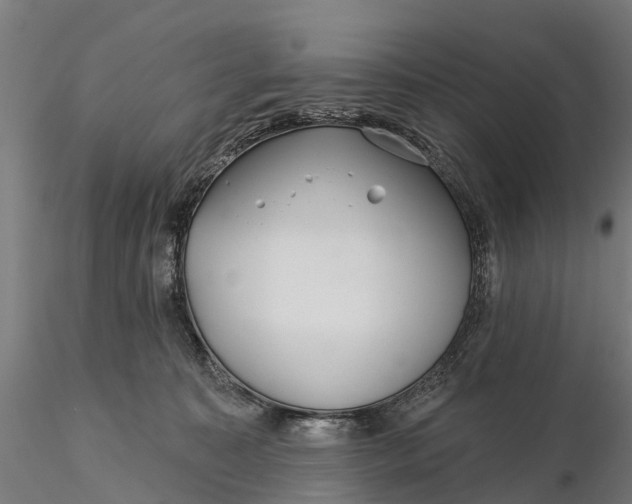 X0000115690323200912031448