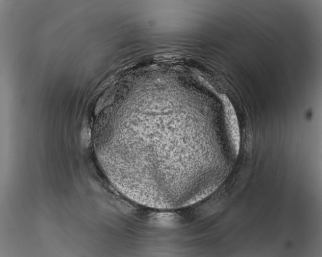 X0000115690324200912031448