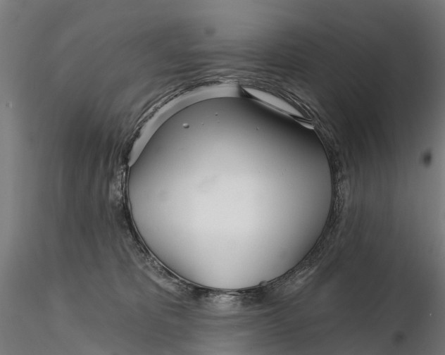 X0000115690325200912031448