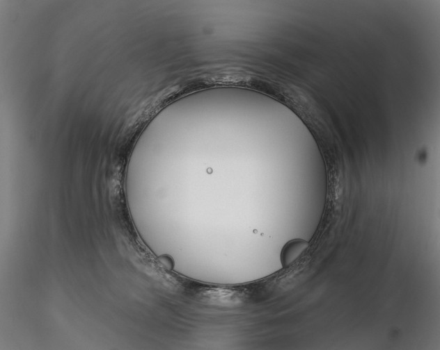 X0000115690326200912031448