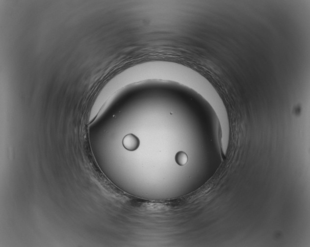 X0000115690327200912031448