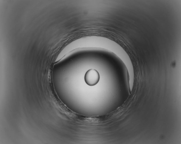 X0000115690328200912031448