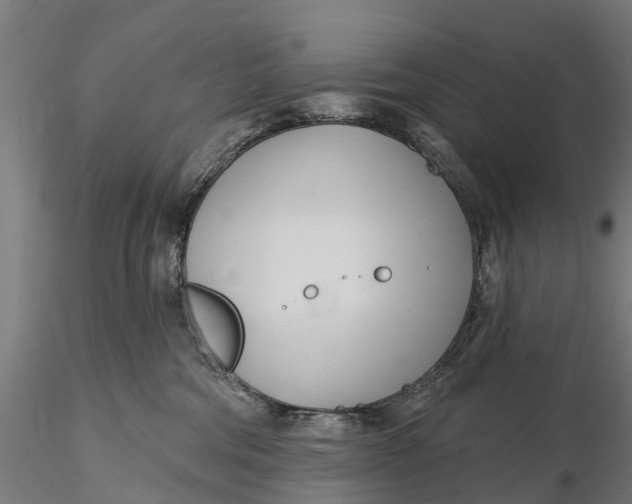 X0000115690330200912031448