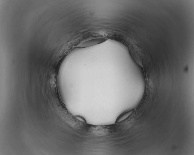 X0000115690331200912031448