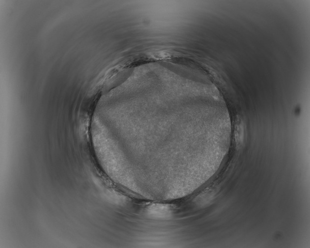 X0000115690332200912031448