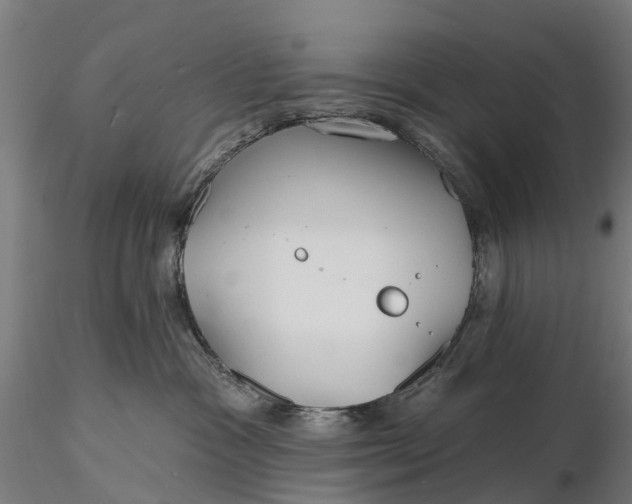 X0000115690333200912031448