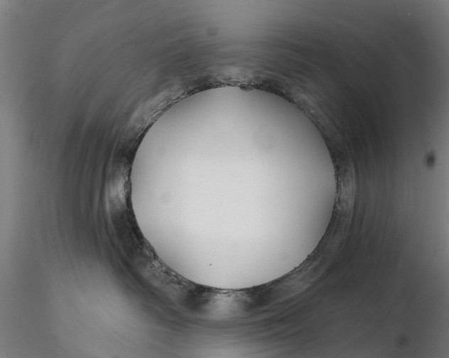 X0000115690334200912031448