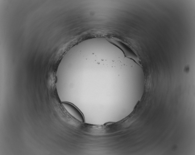 X0000115690335200912031448