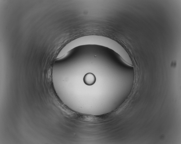 X0000115690336200912031448