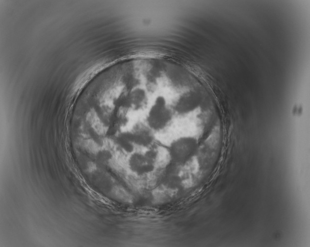 X0000115690337200912031447