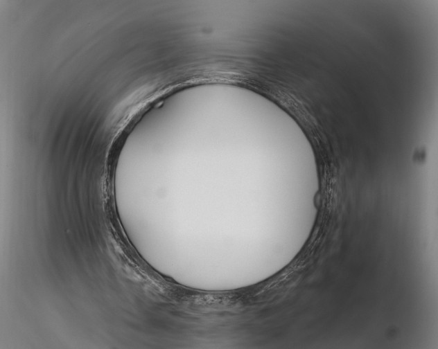 X0000115690338200912031447