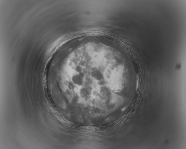 X0000115690339200912031447